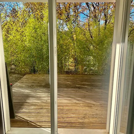 T1 Rez De Chaussee Terrasse Piscine *